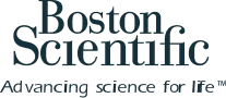 Icon-Boston