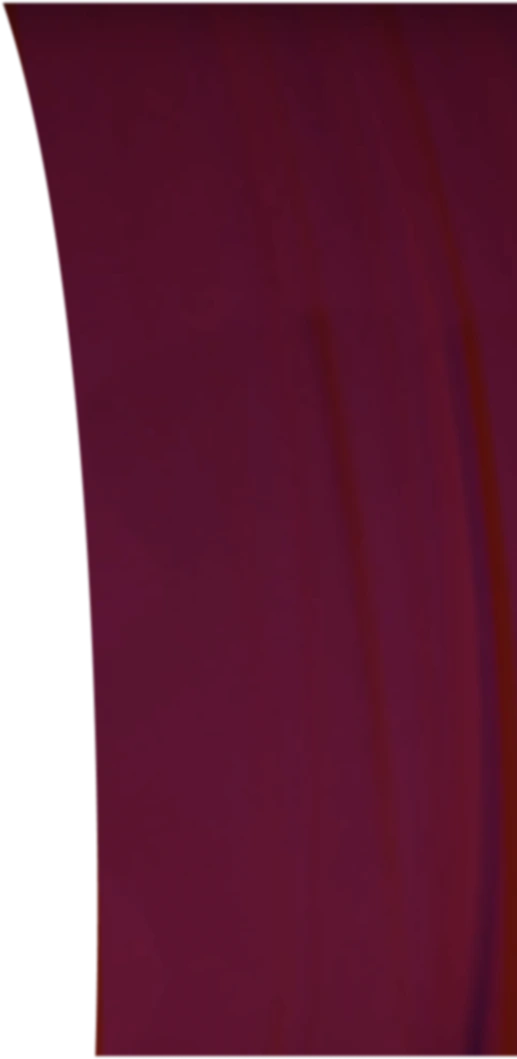 Foonkie Monkey curtain