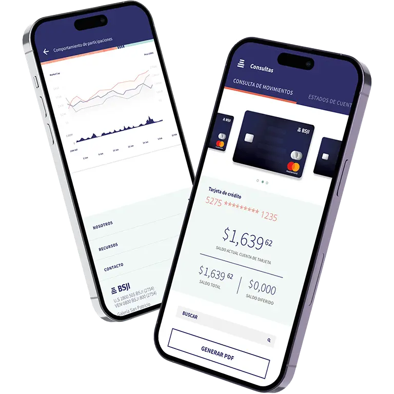 Software development Solution - BSJI inc