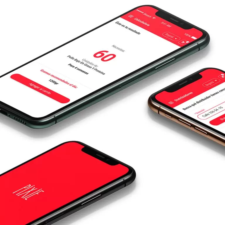 Realizar procesos de planificación y diseño técnico de productos - Pixie Pet